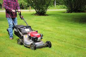 Best Place To Buy A Lawn Mower