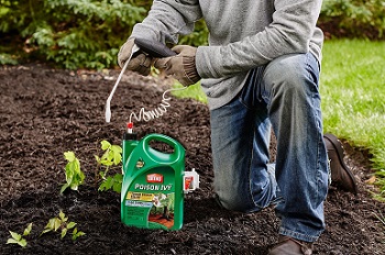 Best Brush Killer to Clear Invasive Weeds and Plants
